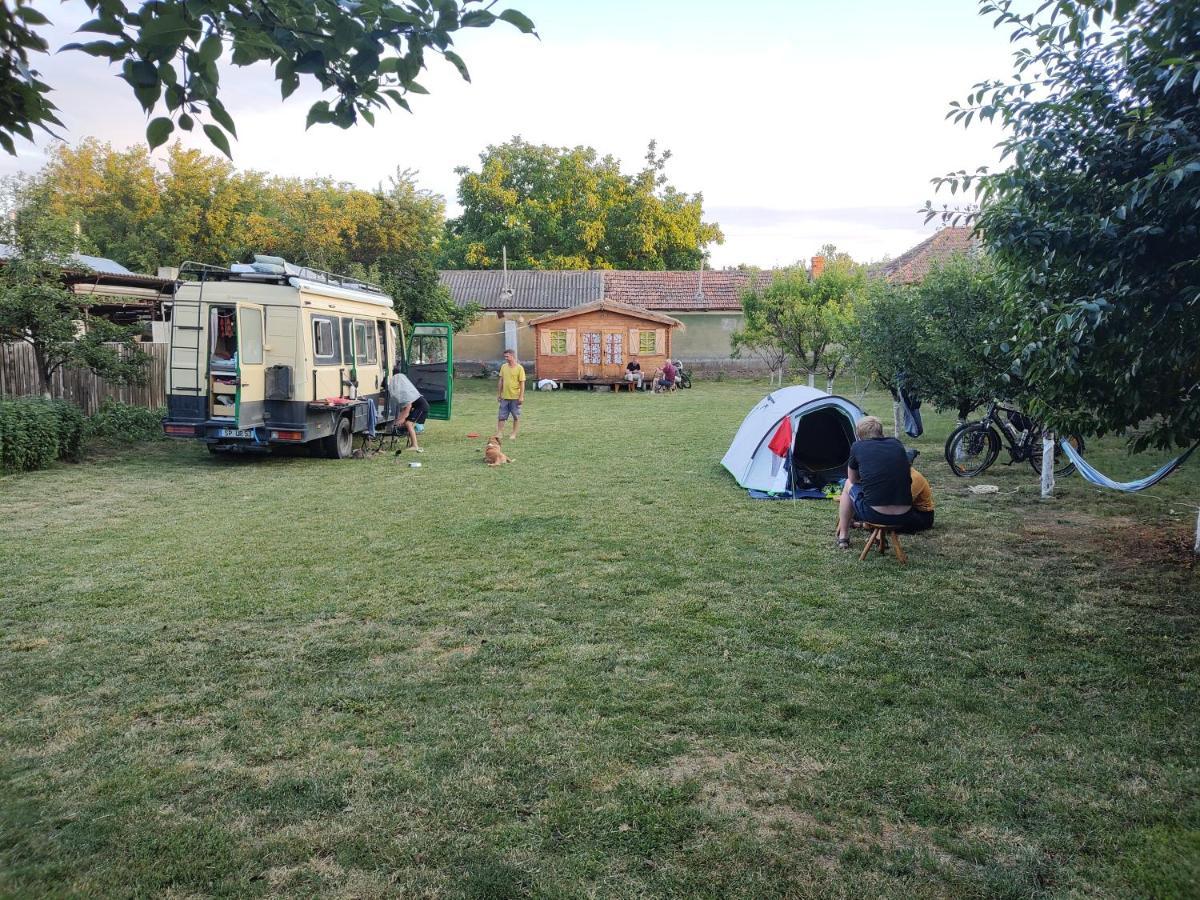 Edelweiss Guesthouse, Glamping And Camping Suhaia Extérieur photo