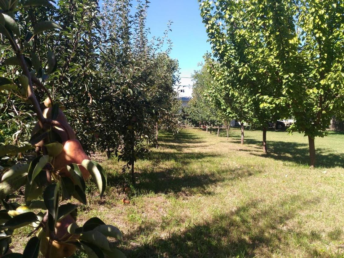 Edelweiss Guesthouse, Glamping And Camping Suhaia Extérieur photo