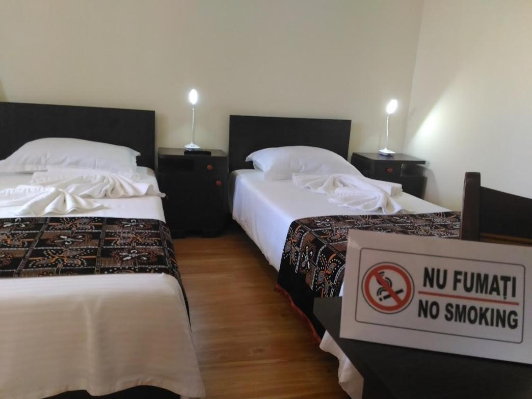 Edelweiss Guesthouse, Glamping And Camping Suhaia Extérieur photo